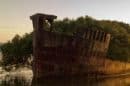 Homebush Bay