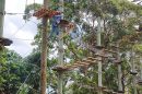 Wild Ropes At Taronga Zoo