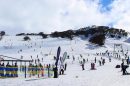 Perisher