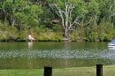 Georges River Nature Reserve