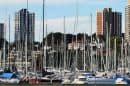 Rushcutters Bay