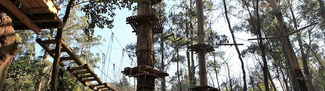 treetop-adventure-park-western-sydney-parklands-discount-entry-fee-prices