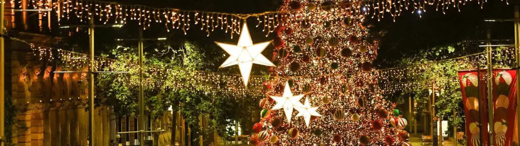 Christmas Events At The Domain 2022 Martin Place Christmas Concert & Tree Lighting - 2022 Dates & Times